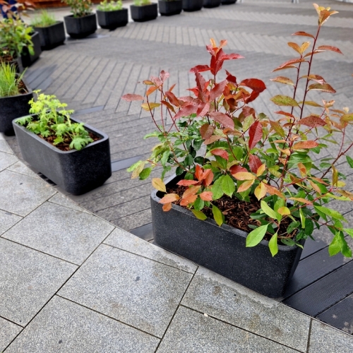 Belægning af terrasse i fliser